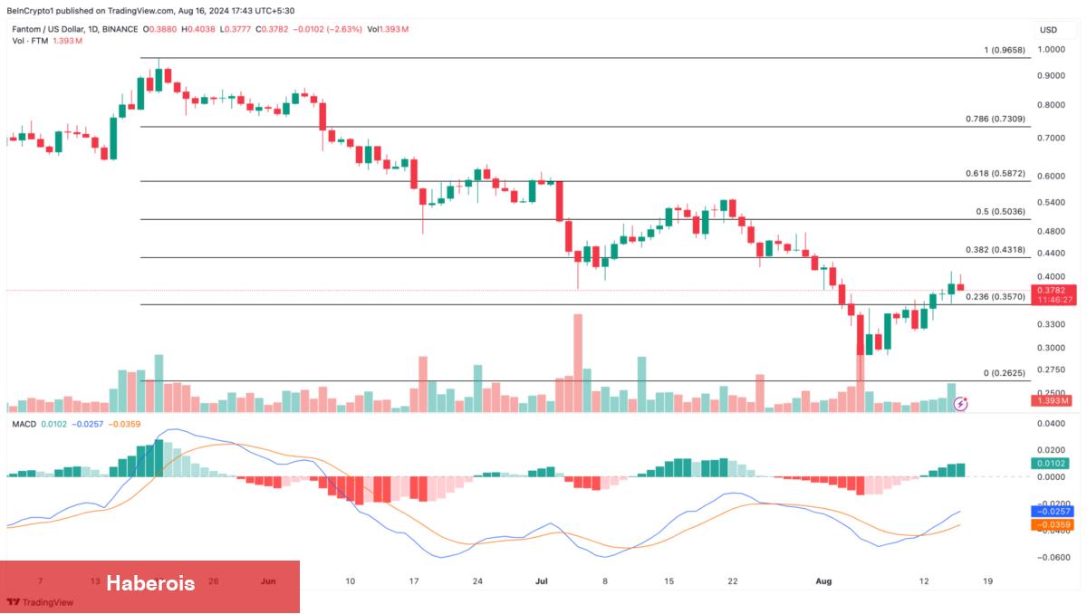 Üç Analist Bu 3 Altcoin için Gayeleri Gösterdi: Ralli Geliyor! - Haberois Üç Analist Bu 3 Altcoin için Gayeleri Gösterdi: Ralli Geliyor!