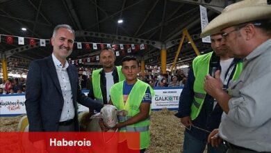Yerli Tavuk Irkları İle Koçlar İnegöl'de Podyuma Çıkacak