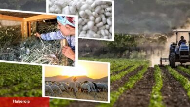 406,6 milyon TL'lik tarımsal desteklemeler hesaplarda