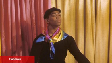 Alvin Ailey, Özür Dilemeyen Parıltının Arkasındaki Adam ve Zihin