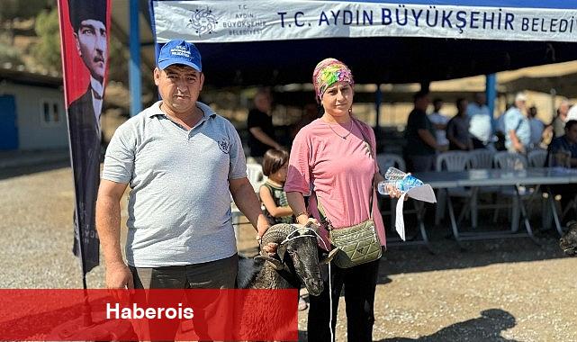 Aydın Büyükşehir Belediyesi Üreticilere Sakız Koçu, Sakız Koyunu, Çine Çaparı ve Honamlı Keçisi Hibe Etmeye Devam Ediyor