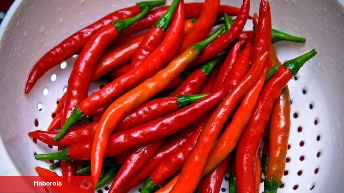 Bağışıklığınızı güçlendirin! Acı biberin mucizevi tesirleri