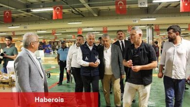 Balık Sezonu Başladı: Denizde Palamut Bolluğu Esnafın Yüzünü Güldürdü