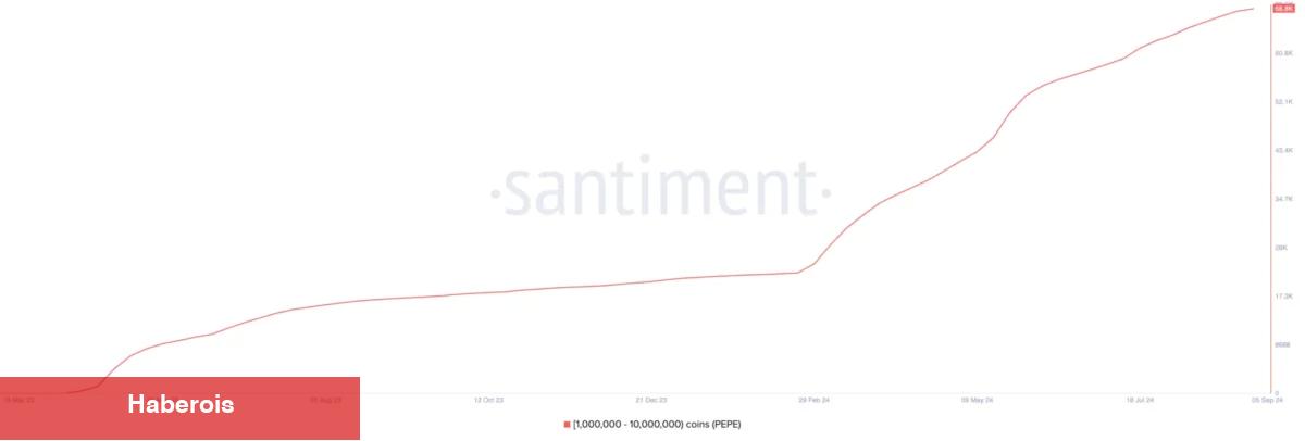 Balinalar Eylül’ün Birinci Haftası Çantalarını Bu 3 Altcoin ile Doldurdu!