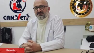 Başkan Alkan Yurtta sulh, cihanda sulh’u şiar edindik