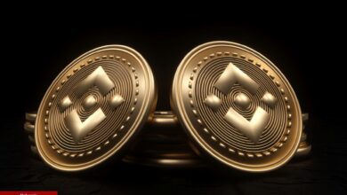 Binance, 3 Yeni Duyuru Yaptı: O Altcoin Roketledi!