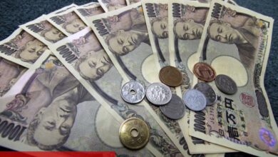 BOJ yetkilisi enflasyon ortamında olası faiz artışlarına işaret etti