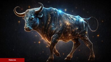 Bu Dev Altcoin Kritik Yükseltmeyi Tamamladı: Yabanî Koşu mu Geliyor?