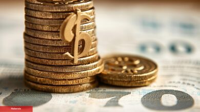 Bu Hafta, Türkiye’de ve Dünyada O 39 Altcoin Araştırıldı! İşte Liste