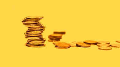 Bugün, O 11 Altcoin İçin Dikkat: İşte Olacakların Listesi!