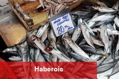 Bursa Tuz Pazarı’nda balık sezonu yoğunluğu başladı