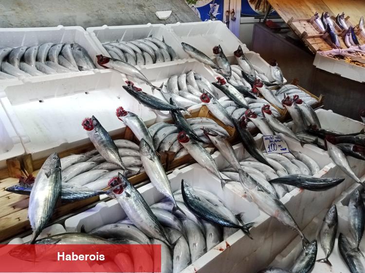 Bursa Tuz Pazarı’nda balık sezonu yoğunluğu başladı