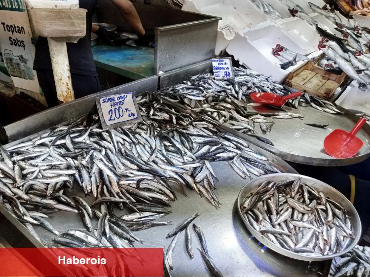 Bursa Tuz Pazarı’nda balık sezonu yoğunluğu başladı