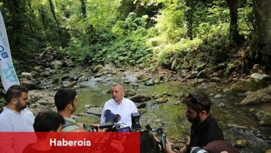 Büyükşehir, Kirazdere'ye 8 bin adet alabalık saldı
