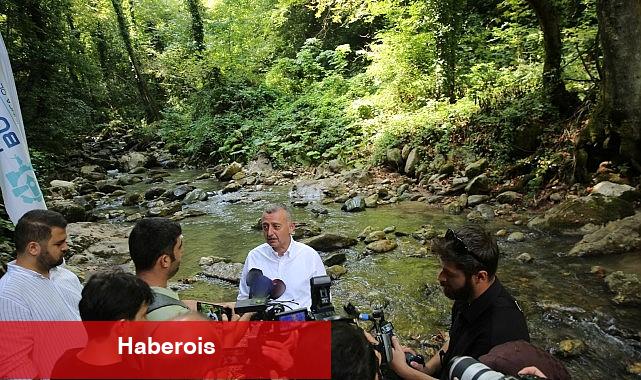 Büyükşehir, Kirazdere'ye 8 bin adet alabalık saldı - Haberois Büyükşehir, Kirazdere'ye 8 bin adet alabalık saldı
