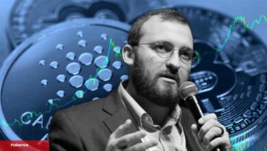 Cardano Mucidi Sessizliğini Bozdu: Reaksiyonlara Yanıt Verdi!