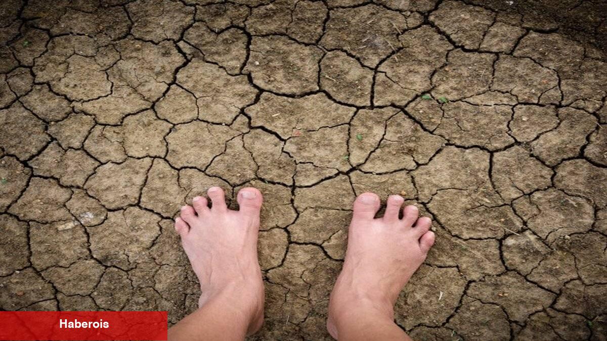 Çıplak ayakla toprağa basın! Tesirlerine inanamayacaksınız - Haberois Çıplak ayakla toprağa basın! Tesirlerine inanamayacaksınız