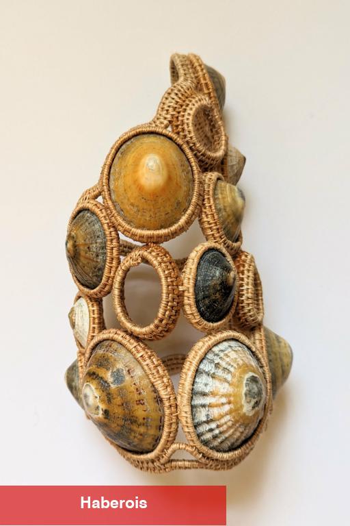 Deniz Kabuğu Sanatı Kitsch Ününü Kaybediyor