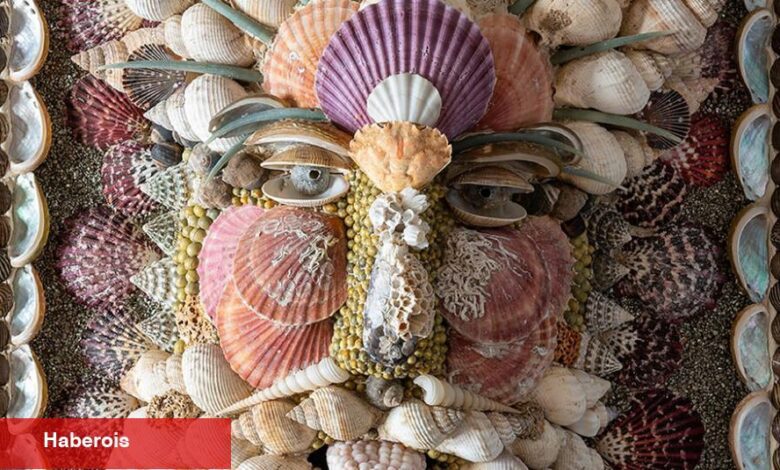 Deniz Kabuğu Sanatı Kitsch Ününü Kaybediyor - Haberois Deniz Kabuğu Sanatı Kitsch Ününü Kaybediyor