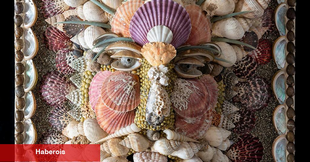 Deniz Kabuğu Sanatı Kitsch Ününü Kaybediyor