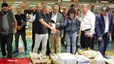 Denizde palamut bolluğu esnafın yüzünü güldürdü