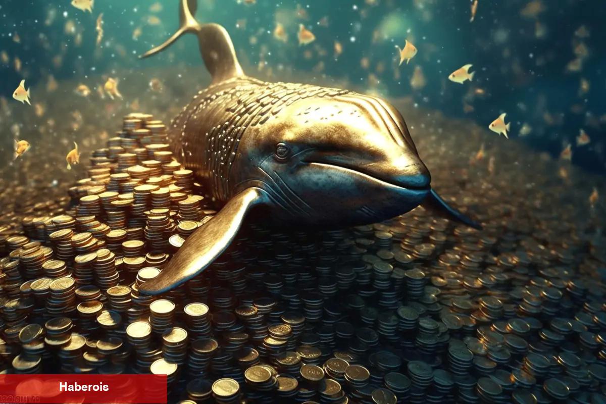 Devler Hareket Ediyor: Balinaların Radarındaki Sürpriz Altcoin