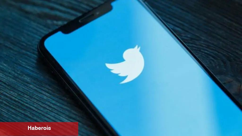 Devler Hareket Ediyor: Balinaların Radarındaki Sürpriz Altcoin