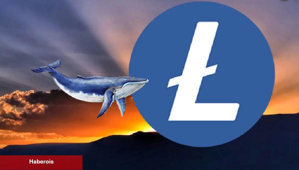 Devler Hareket Ediyor: Balinaların Radarındaki Sürpriz Altcoin