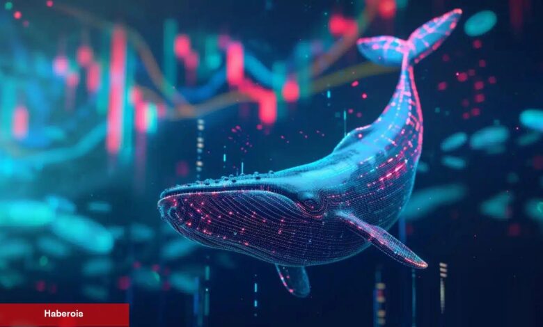 Devler Hareket Ediyor: Balinaların Radarındaki Sürpriz Altcoin - Haberois Devler Hareket Ediyor: Balinaların Radarındaki Sürpriz Altcoin