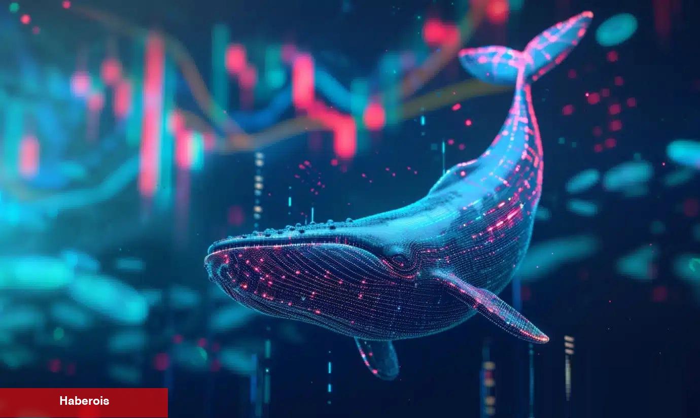 Devler Hareket Ediyor: Balinaların Radarındaki Sürpriz Altcoin