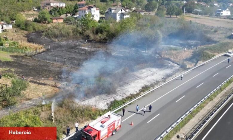Düzce'de anız yangını! Fındık arazisi zarar gördü! - Haberois Düzce'de anız yangını! Fındık arazisi zarar gördü!