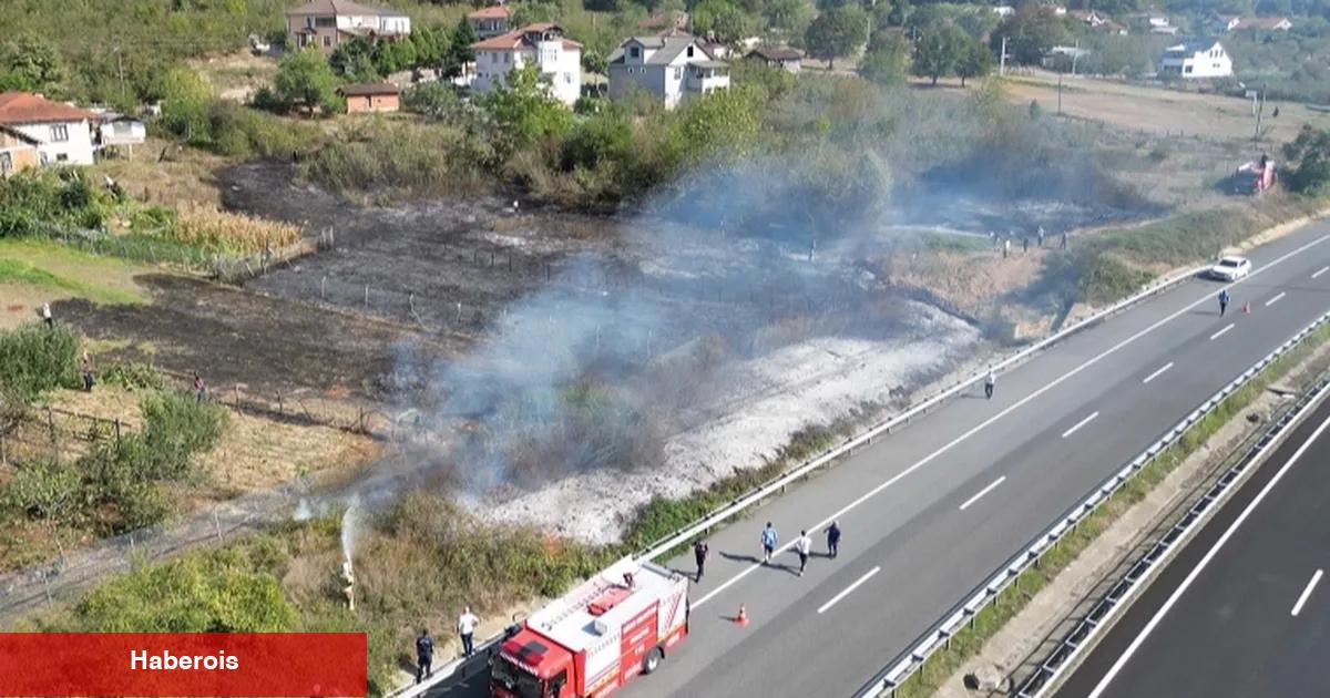 Düzce'de anız yangını! Fındık arazisi zarar gördü!