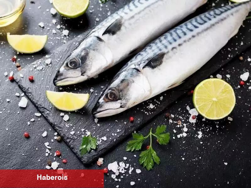 Eylül ayında hangi balık yenir? Eylül ayının en lezzetli balığı hangisidir?