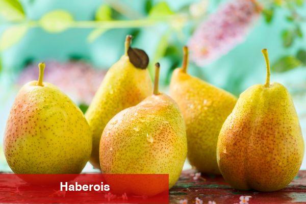 Eylül ayında hangi meyveler tüketilmeli?
