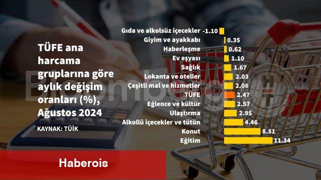 Grafiklerle Ağustos ayı enflasyonu