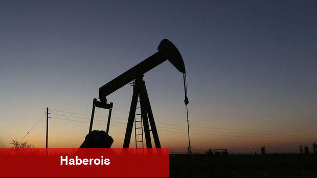 Hedge fonlar petrolde hiç bu kadar karamsar olmamıştı - Haberois Hedge fonlar petrolde hiç bu kadar karamsar olmamıştı