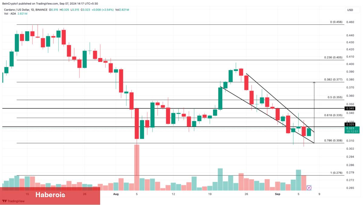 İki Analist Gayeleri Gösterdi: Bu 2 Altcoin Koşuya Hazır!
