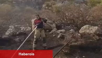 İki ilçede çıkan yangınlara İzmir İtfaiyesi'nden hızlı müdahale