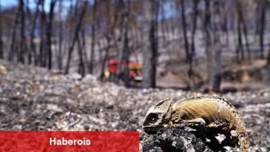 İzmir son 20 yılın en zorlu yazını geçirdi
