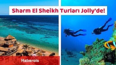 Jolly ile Sharm El Sheikh'e gidiyoruz