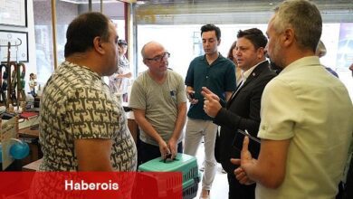 Kadıköy Belediyesi olarak tüm Kadıköylülere, sokak hayvanlarına sahip çıkmaya ve gerekli durumlarda belediyemizi acilen bilgilendirmeye çağırıyoruz