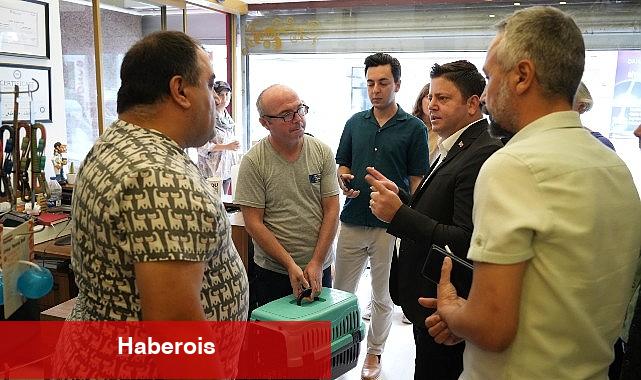 Kadıköy Belediyesi olarak tüm Kadıköylülere, sokak hayvanlarına sahip çıkmaya ve gerekli durumlarda belediyemizi acilen bilgilendirmeye çağırıyoruz - Haberois Kadıköy Belediyesi olarak tüm Kadıköylülere, sokak hayvanlarına sahip çıkmaya ve gerekli durumlarda belediyemizi acilen bilgilendirmeye çağırıyoruz