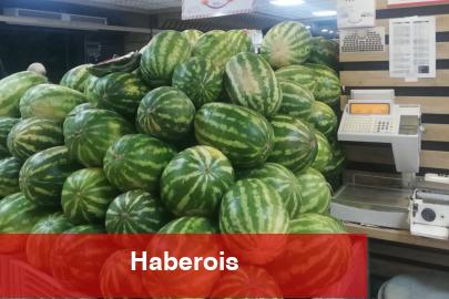 Kilogramı 50 TL’den 4.95 TL’ye düştü