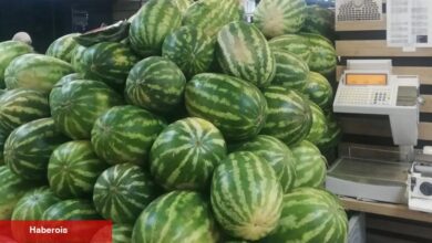 Kilogramı 50 TL’den 4.95 TL’ye düştü