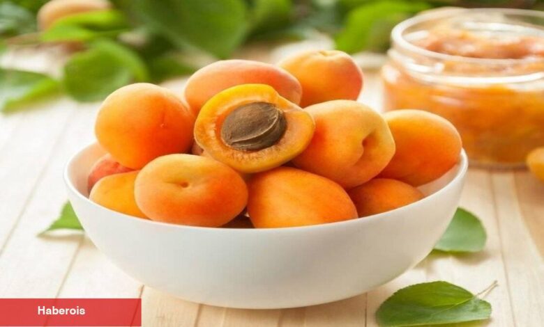 Kısa müddette kilo vermek isteyenler için kayısı diyeti nasıl yapılır? - Haberois Kısa müddette kilo vermek isteyenler için kayısı diyeti nasıl yapılır?