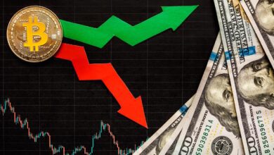 Kritik Bilgiler Geldi: Bitcoin için Bu Düzeyler Konuşuluyor!