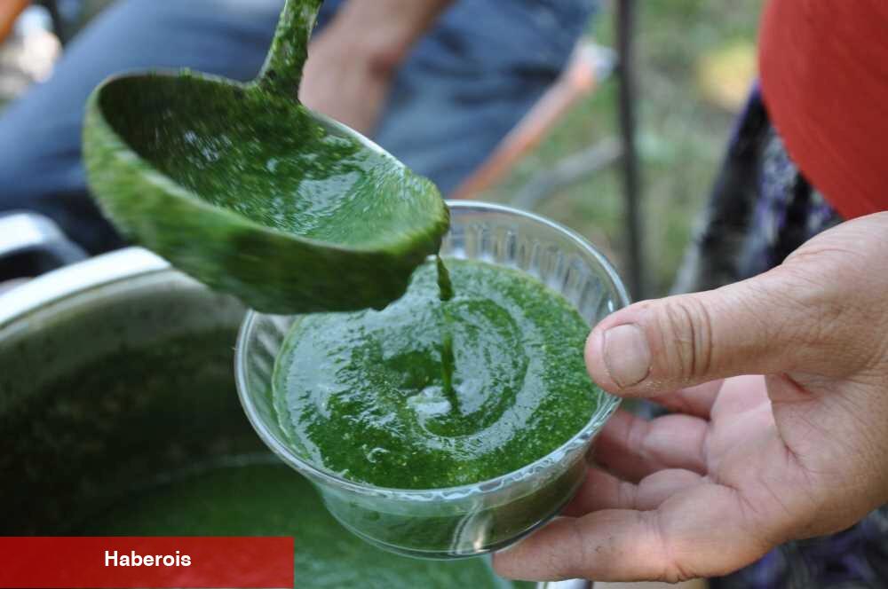 Mucizevi çorba: Isırgan otu çorbası