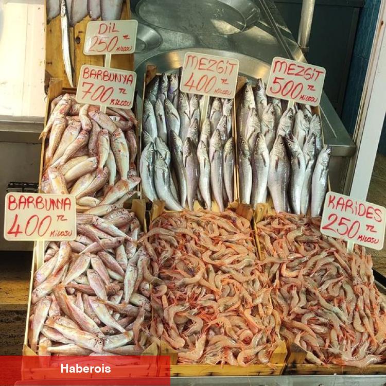 Mudanya'daki balıkçı tezgahları palamutla doldu
