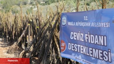 Muğla'da her kapıda bir fidan!