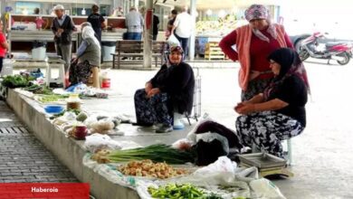 Muğla'daki "Köylü Pazarı" bayanların geçim kaynağı oldu! Talebe yetişmekte zorlanıyorlar